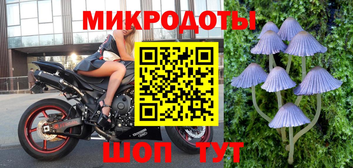 Псилоцибиновые грибы Psilocybe Урай